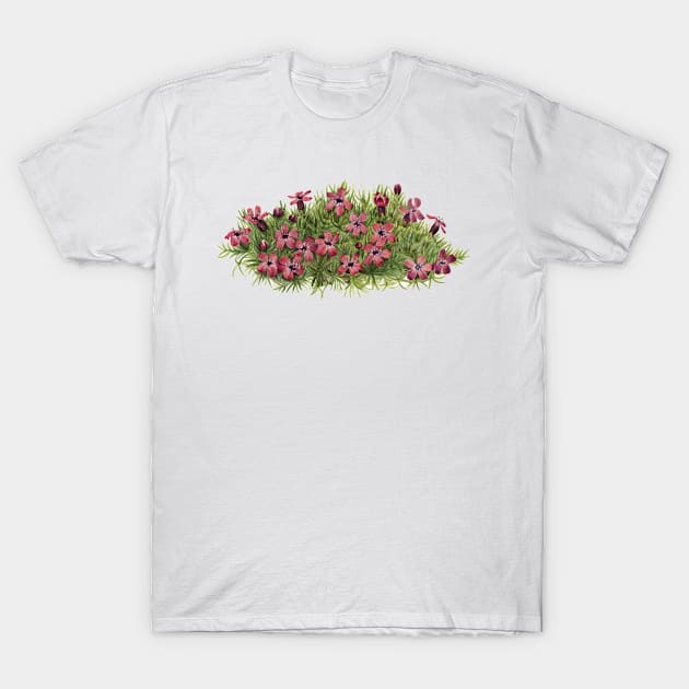 pink flowers, Moss Campion T-Shirt by T-SHIRT-2020